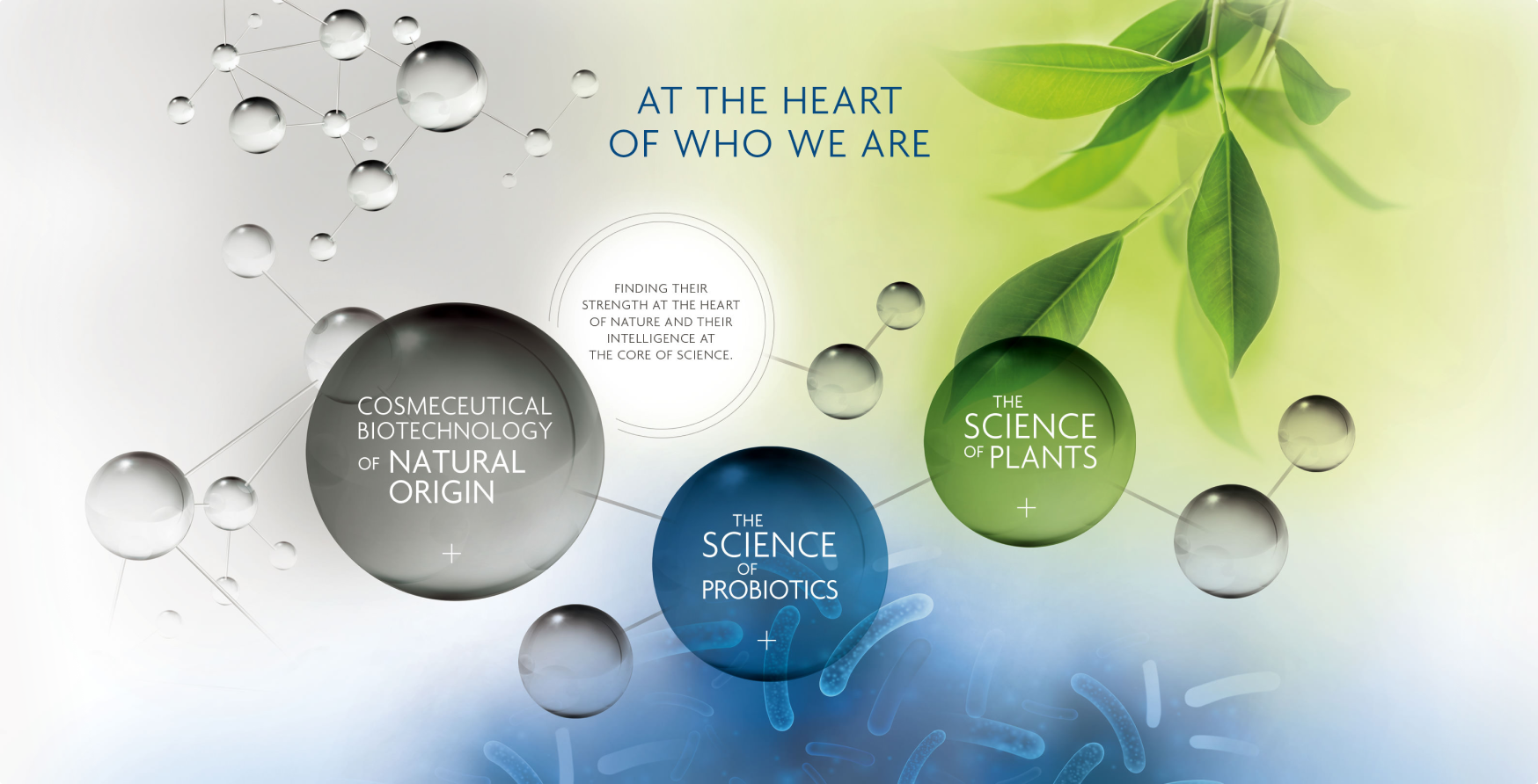 The Science of plants