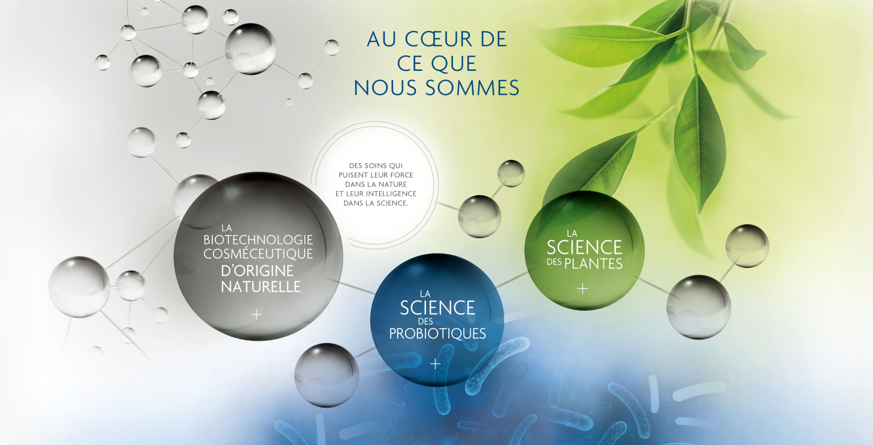 La Science des plantes